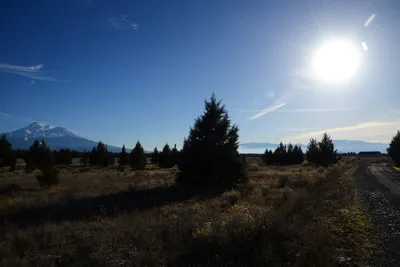 DSC_2974 (Large).JPG